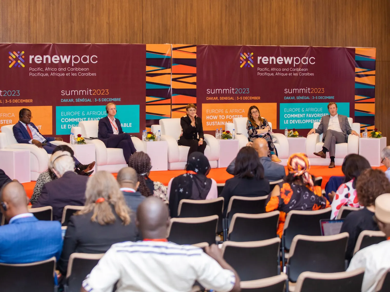 RENEWPAC, Dakar : séance plénière